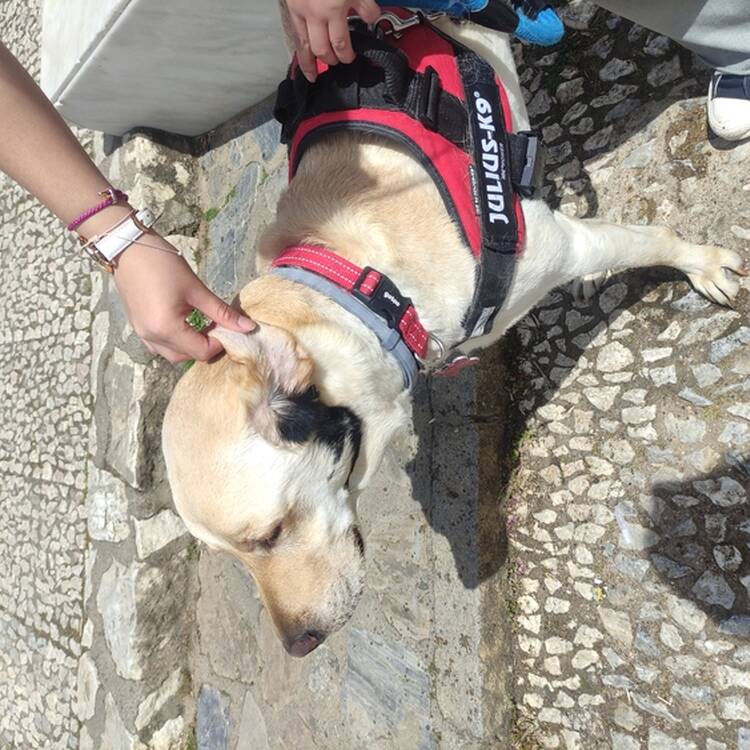 Foto de perfil de Maria