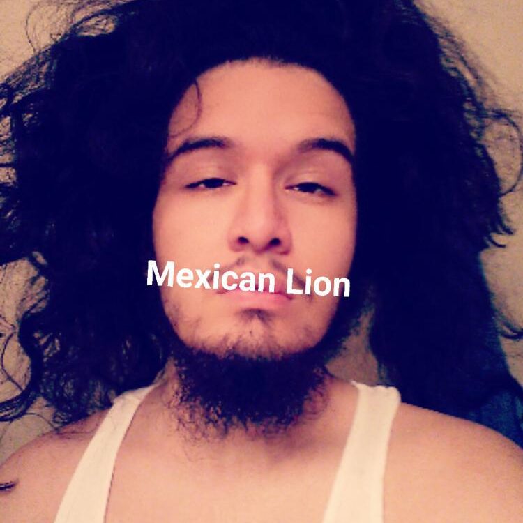 Foto de perfil de Biserr