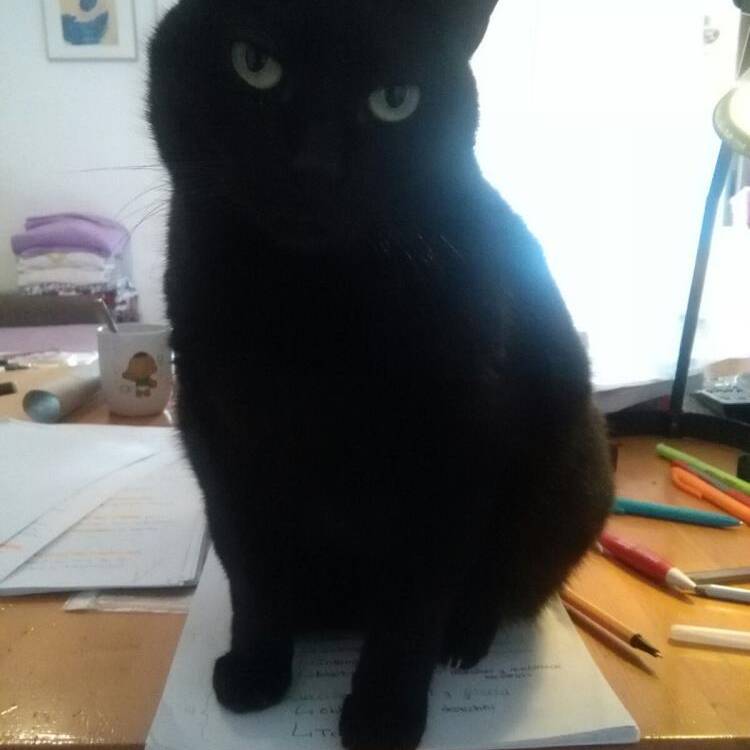 Foto de perfil de gelen