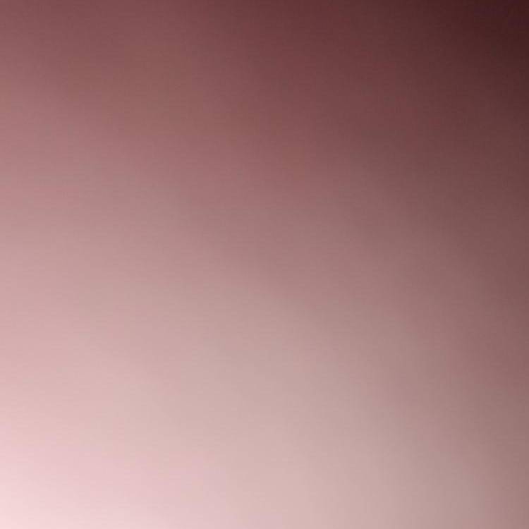 Foto de perfil de Daniel