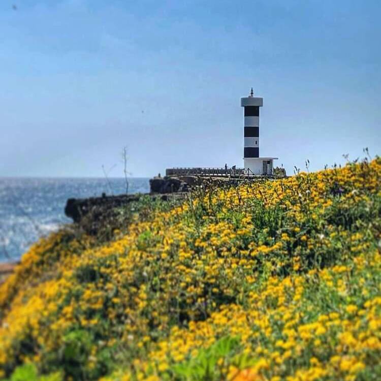 Foto de perfil de Antonia