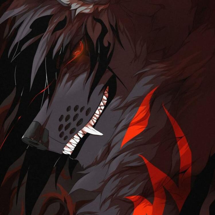 Foto de perfil de Phoenix