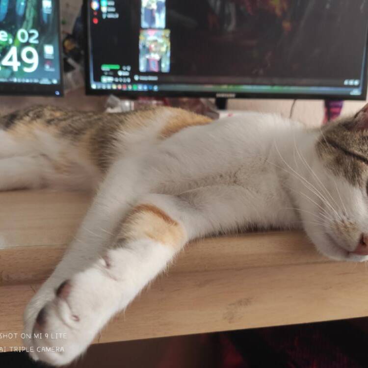 Foto de perfil de delia
