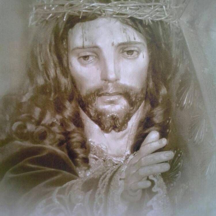 Foto de perfil de paloma
