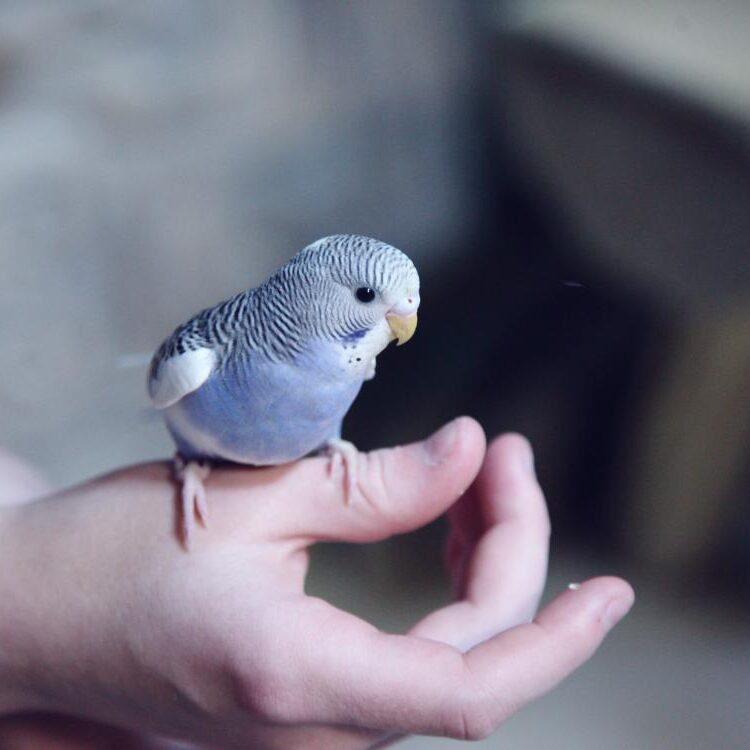 Foto de perfil de Hendrik