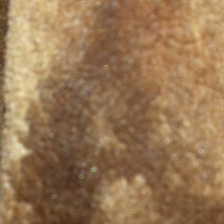 Foto de perfil de Khan
