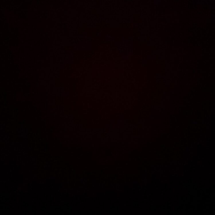 Foto de perfil de Danny