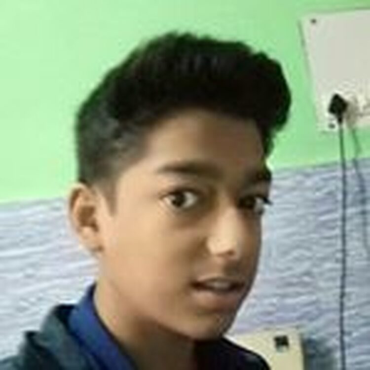 Foto de perfil de nikhil.kumar1471