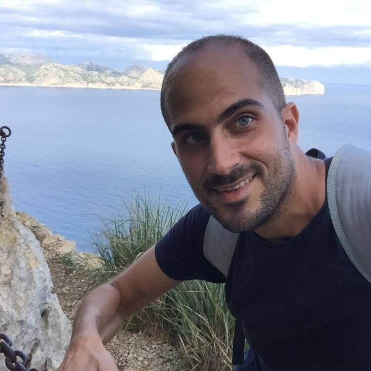 Foto de perfil de Mirlo blanco