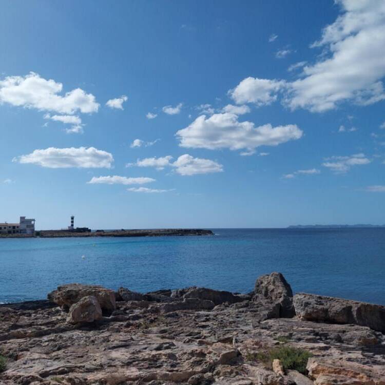 Foto de perfil de Cristina