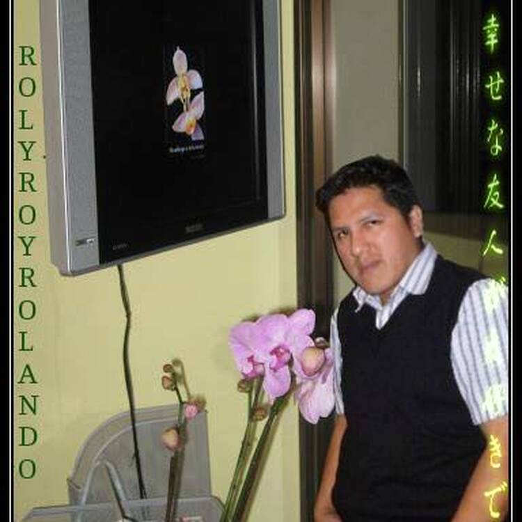 Foto de perfil de Rolando Venegas Ccahuana