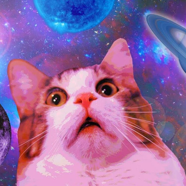 Foto de perfil de CZellow