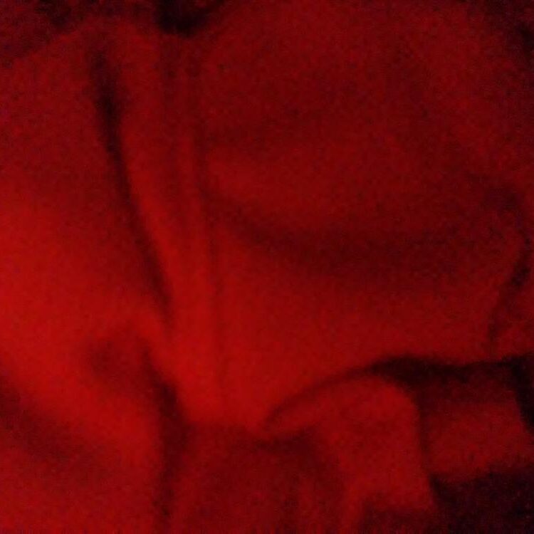 Foto de perfil de Rolandtr23