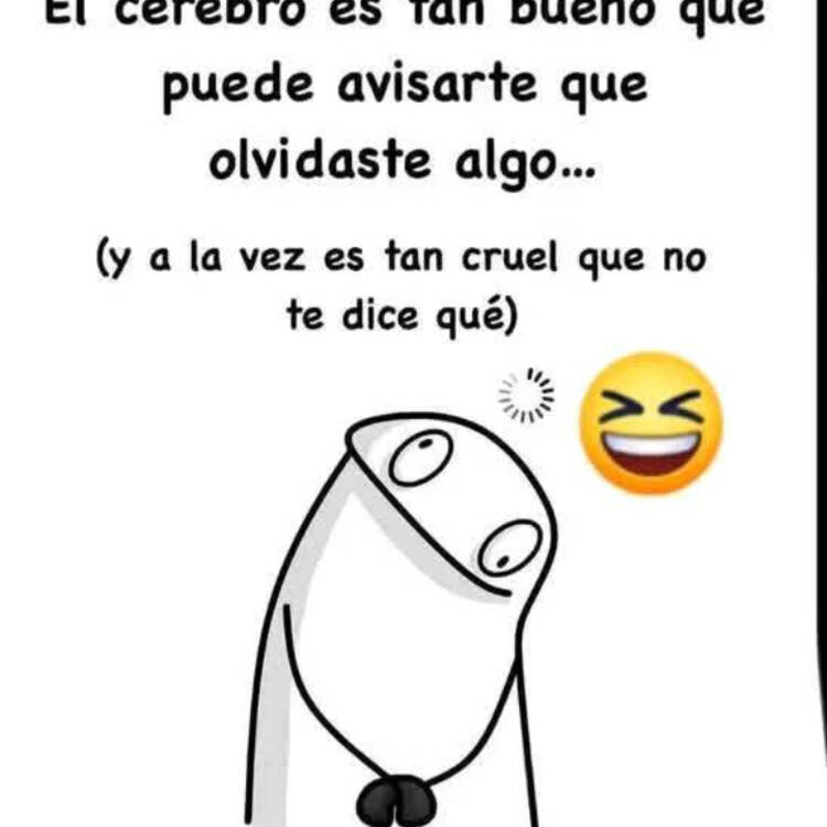 Foto de perfil de Jose