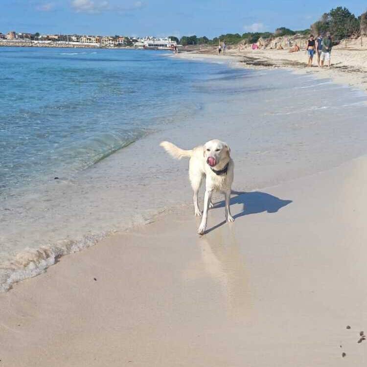 Foto de perfil de Espi
